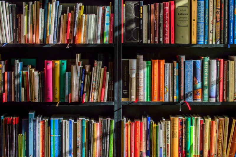 magasin-VERIGNON-min_books_bookstore_book_reading_shop_writer_sale_books_read-822866